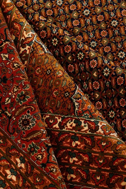 Ковер Индийский Kashmir 362x560 см